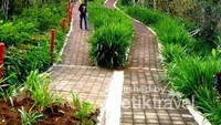 Jalan menuju puncak Widosari