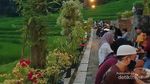 Kopi Ampirono, Tempat Ngopi di Tengah Keindahan Alam