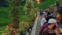 Ditemani hamparan sawah
