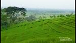 Kopi Ampirono, Tempat Ngopi di Tengah Keindahan Alam