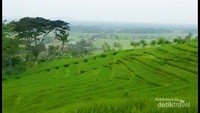 Jatuh cinta dengan panoramanya