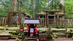 Koyasan, Kota Sakral di Negeri Sakura yang Mendunia