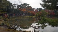 Para wisatawan yang mendokumentasikan kecantikan kuil dari kejauhan