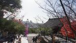 Kuil Cantik Lain Jepang Berpemandangan Kota Kobe