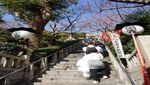 Kuil Cantik Lain Jepang Berpemandangan Kota Kobe