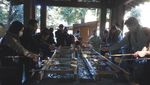 Kuil Meiji Jingu & Perayaan Panen di Tengah Ramainya Tokyo