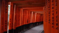 Terdapat sedikitnya 5000 gerbang torii di kawasan ini