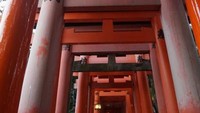 Warna orange juga mendominasi Fushimi Inari
