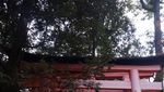 Kuil Terkenal Jepang Ini untuk Dewi Sri Jika di Jawa, Tahu?
