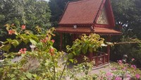 Teduhnya suasana di Watv Phnom, oleh pepohonan rindang di sekitar kuil.