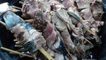 Kuliner Mantap dari Kuta Lombok: Sate Tuna Jumbo