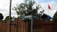 Papan nama jalan di Kwatisore (dok. Yakub Hari Kristianto/ACI)