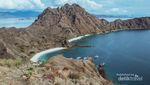 Labuan Bajo, dari Berlayar Hingga Kadal Terbesar di Dunia