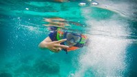 snorkeling melihat beragam ikan dan terumbu karang di Pink Beach menjadi aktivitas yang tidak kalah menarik