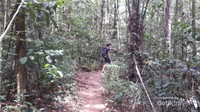Jalur trekking menuju air terjun cunca wulang sepanjang 2 km