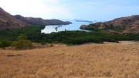 Ini dia pemandangan kalo kalian trekking di pulau rinca, indah kan..