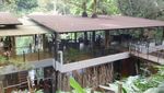 Lagi Liburan di Bandung, Ini Tempat Asyik Buat Kumpul Keluarga