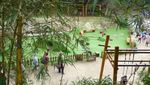 Lagi Liburan di Bandung, Ini Tempat Asyik Buat Kumpul Keluarga