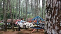 Hiburan anak, komedi putar di tengah hutan pinus.