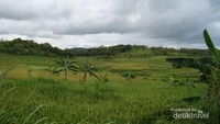 Pemandangan sepanjang jalan