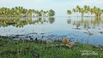 Laguna Tiku, Keindahan Tersembunyi dari Sumatera Barat