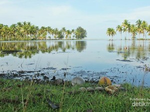 Laguna Tiku, Keindahan Tersembunyi dari Sumatera Barat