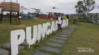 ugc