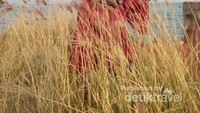 Pantai SetigiHembusan angin menggoyangkan ilalang menghadirkan nyanyian alam yang mendatangkan rasa tenang.