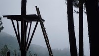 Gardu pandang di Hutan Pinus Kacapiring