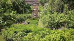 Lari 10 Km dan Mengenal Borobudur!
