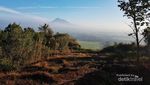Lari-lari di Candi Sleman, Pemandangannya Cantik Banget!
