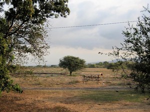 Lari Pagi di Baluran, Cara Asyik Menikmati Alam Jawa Timur