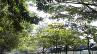 Jalan menuju danau (dok. ACI)