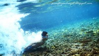 Anda bahkan bisa snorkeling