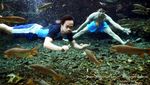 Laut? Bukan, Ini Mata Air Gunung Sago di Payakumbuh