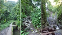 Jalur trekking menuju curug