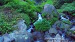 Lawe, Si Cantik di Lereng Gunung Ungaran