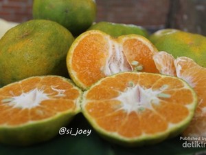 Lebaran di Gayo Aceh, Jangan Lupa Cicip Jeruk Keprok