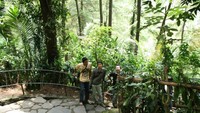 Jalanan menuju air terjun
