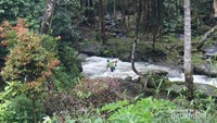 Bagai lukisan indah