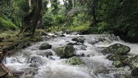 Sungai yang menyegarkan