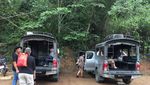 Lebih Dekat Dengan Gajah di Thailand