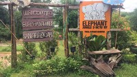 Suasana Chiang Mai Elephant Jungle Sanctuary yang asri