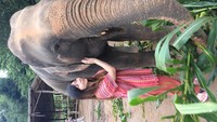 Bisa memeluk dan berinteraksi dengan gajah dari dekat