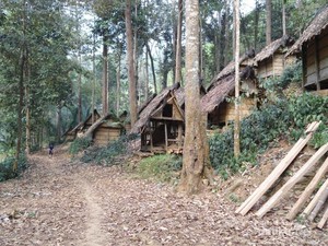 Lebih Dekat dengan Suku Baduy Dalam