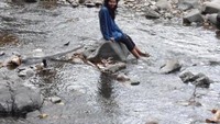 Sungai