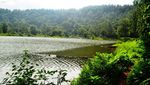 Legenda Danau Situ Gunung yang Jadi Tempat Persembunyian Buronan