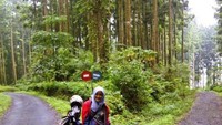 Jalan menuju Pancuran Pitu