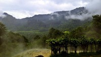 Pemandangan dari atas, di bawahnya ada Gua Selirang