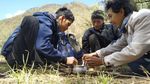 Lelah Dibayar Tuntas di Puncak Gunung Arjuno